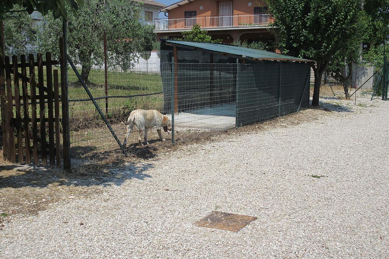 Villa Degli Ulivi Lempa Kültér fotó